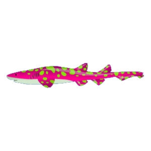 Pink Galapagos Cat Shark